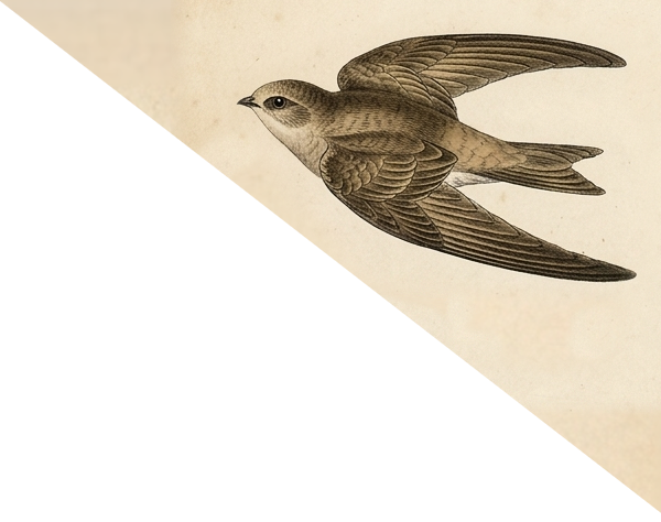 Swift Label Generator